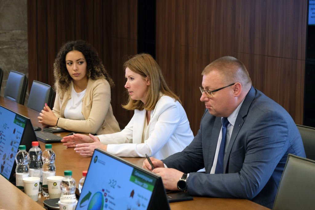 brok-bel-2.jpg brok-bel-2.jpg